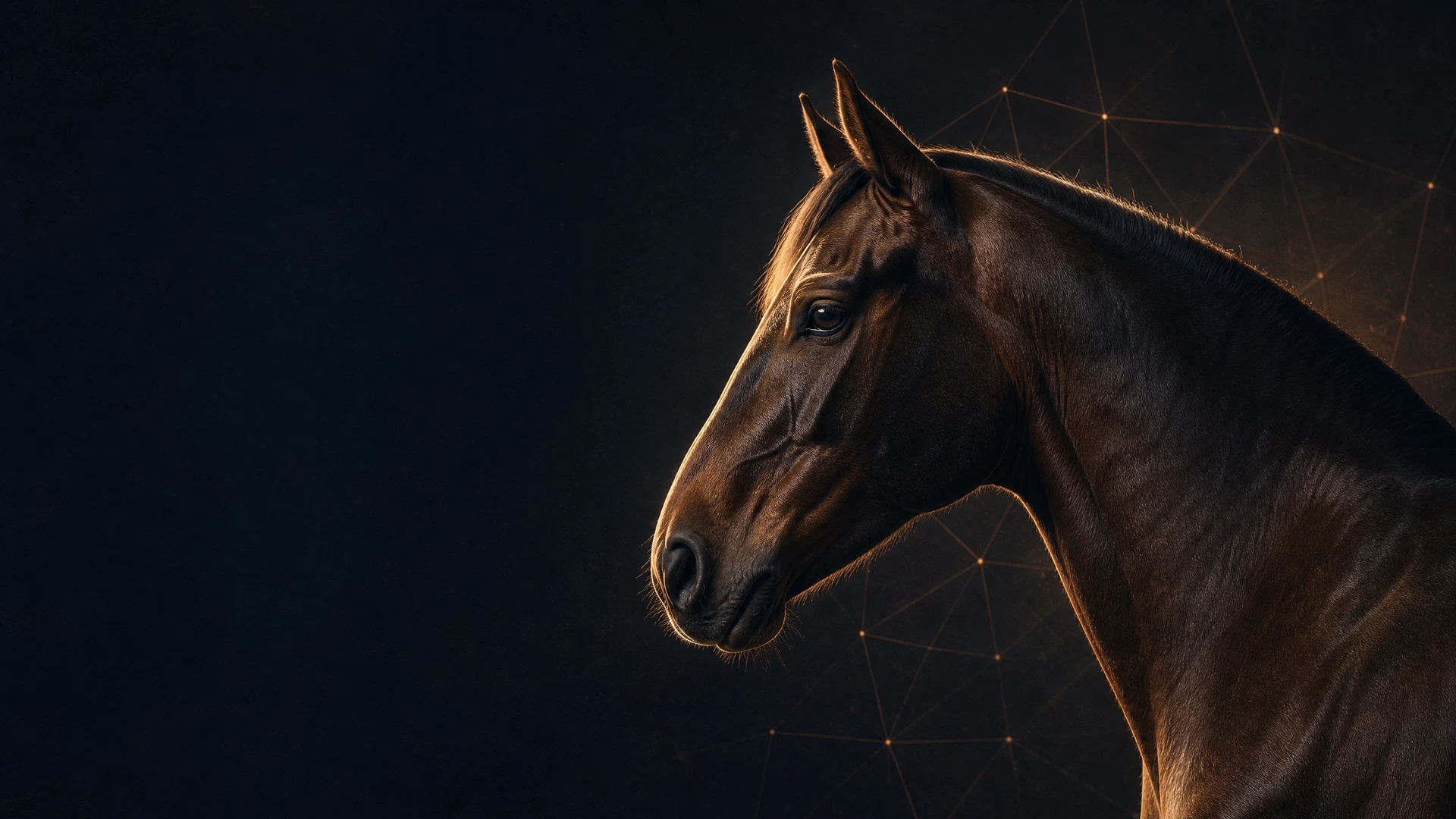 Ritratto concettuale di un cavallo scuro in luce calda